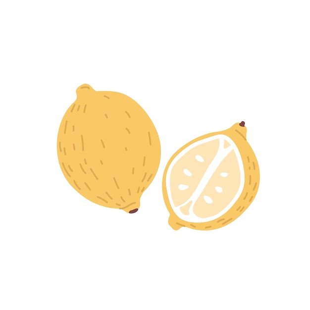 Whole lemon with yellow peel and citrus half with fresh flesh and seeds Composition of tropical sour fruit and its cut piece Colored flat vector illustration isolated on white background