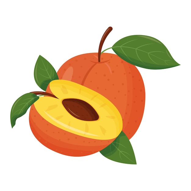 Whole orange peach with green leaf isolated on white background Flat vector illustration