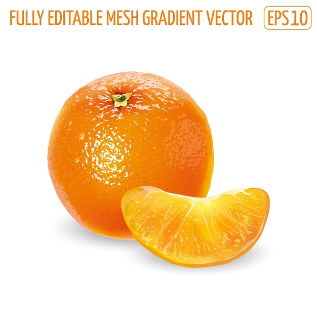 Vector whole orange with a peeled slice