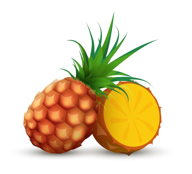 Ananas intero con metà pezzo di ananas a fette illustrazione vettoriale su sfondo bianco