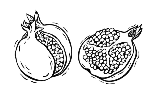 ナツメヤシの果実と半分とパルプ ベクトル植物学 黒と白の手描いたイラスト 孤立した背景にリノカットスタイルで 食品と化品のパッケージデザインメニューの絵