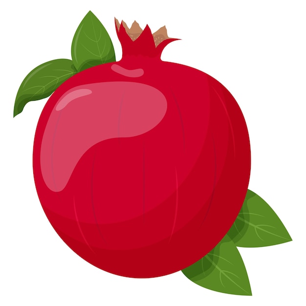 Whole pomegranate isolated on white background Flat vector illustration