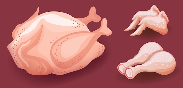 Vector whole raw chicken meat icons wings and drumsticks vector illustration