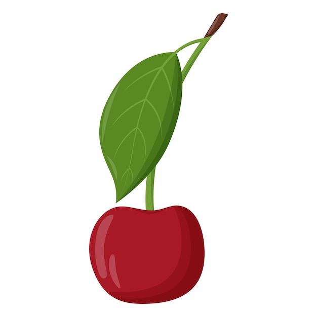 Whole red cherry with green leaf isolated on white background Flat vector illustration