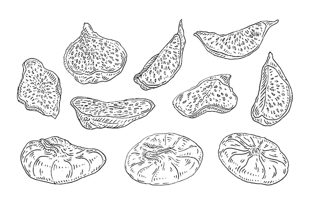 Whole and slice dry fig Vector black vintage engraving