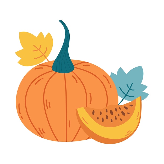 Whole and slice orange ripe pumpkin with leaveshand drawing pumpkin composition vector illustration