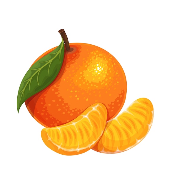 Vector whole tangerine with leaf