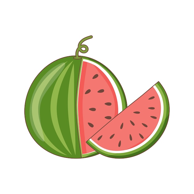 The whole watermelon and it's slicex9