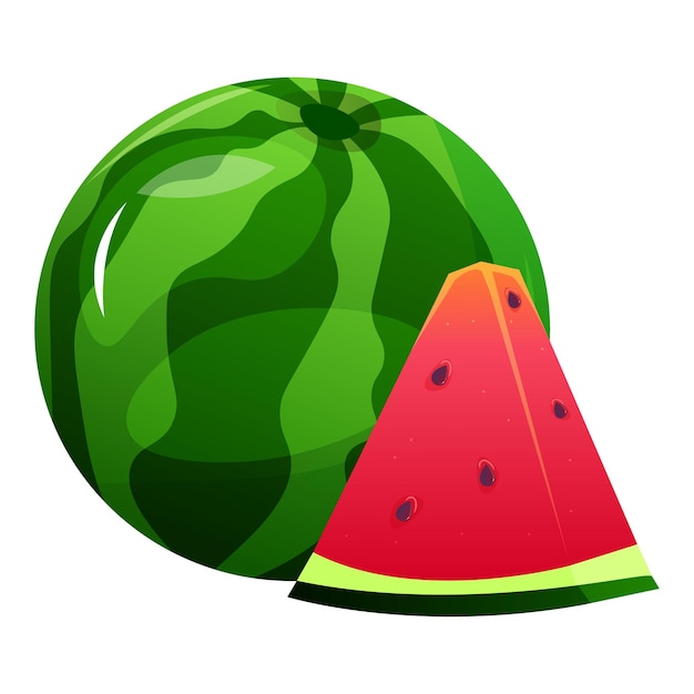 Whole watermelon with slice cartoon vector illustration Summer fruit
