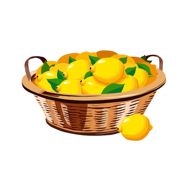 Vector wicker basket full of juicy lemons on white background isolated vector fruit in flat design