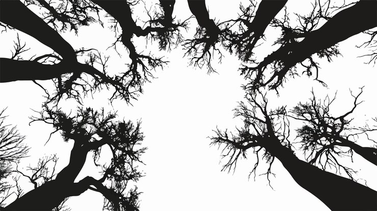 Vector wide angle monochrome forest silhouette against sky image