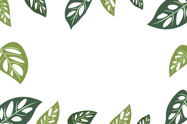 The widow's perforated monstera background vector illustration design is suitable for background