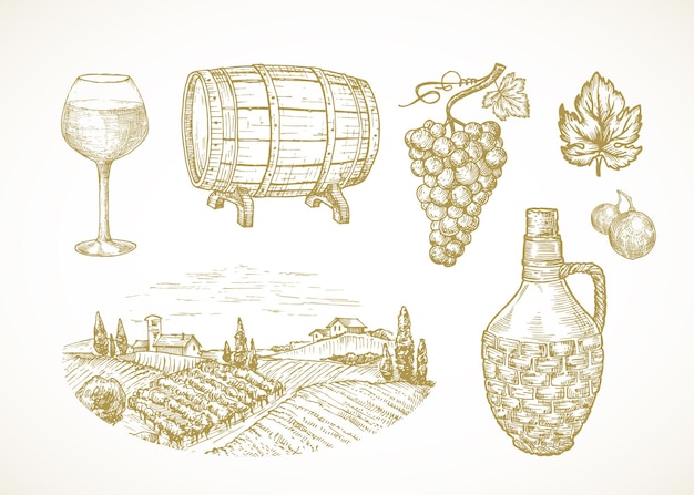 Vector wijn of wijngaard schetsen set. hand getrokken illustraties van glazen vat of vat druiven tak rieten fles en landelijke boerderij of wijnmakerij landschap