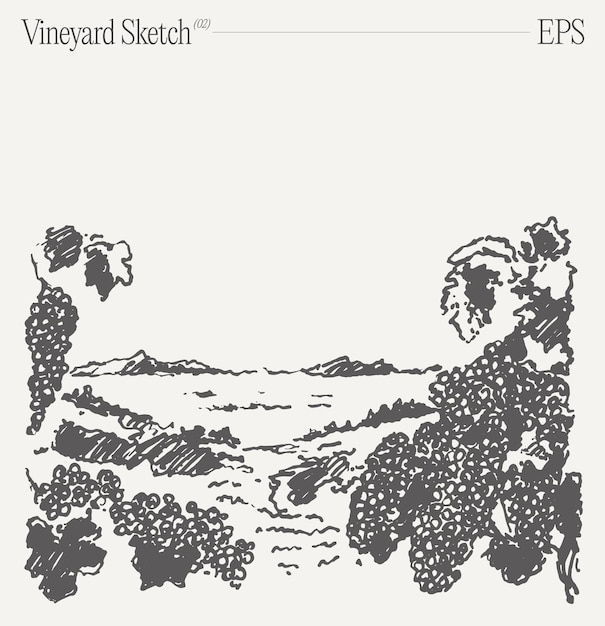 Vector wijngaard landschap vintage wijn etiket achtergrond met de hand getekende vector illustratie schets