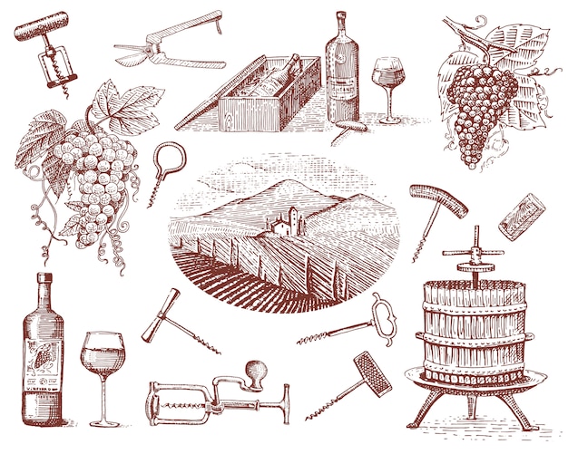 Vector wijnoogstproducten, pers, druiven, wijngaarden, kurkentrekkers, glazen flessen in vintage stijl, gegraveerde handgetekende