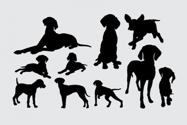 Wijzer hond zoogdier dieren silhouet