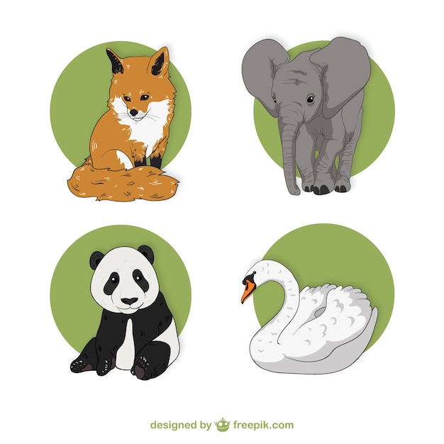 Vector wild animal illustrations