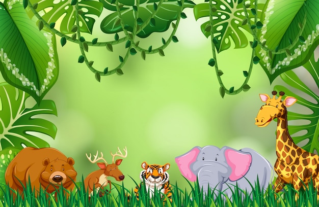 Vector wild animal in jungle