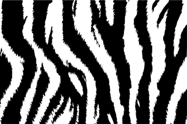 Wild animal Zebra Skin design vector illustration