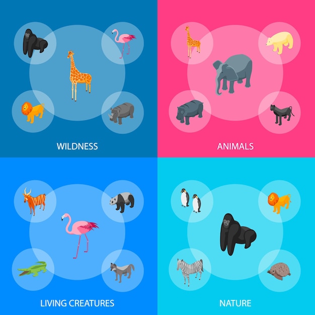 Wild animals 3d banner set isometric view include of lion giraffe elephant hippo crocodile and monkey vector illustration