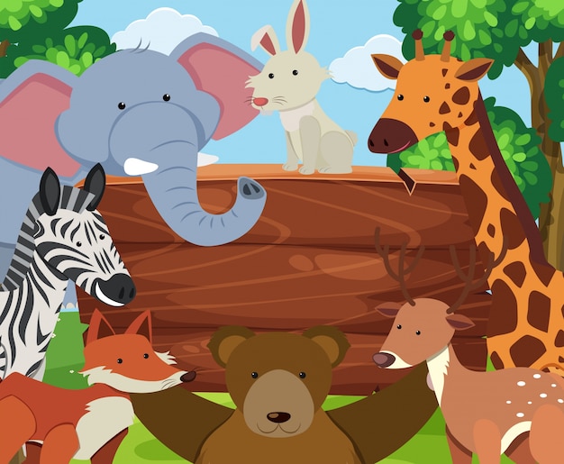 Wild animals around wooden board