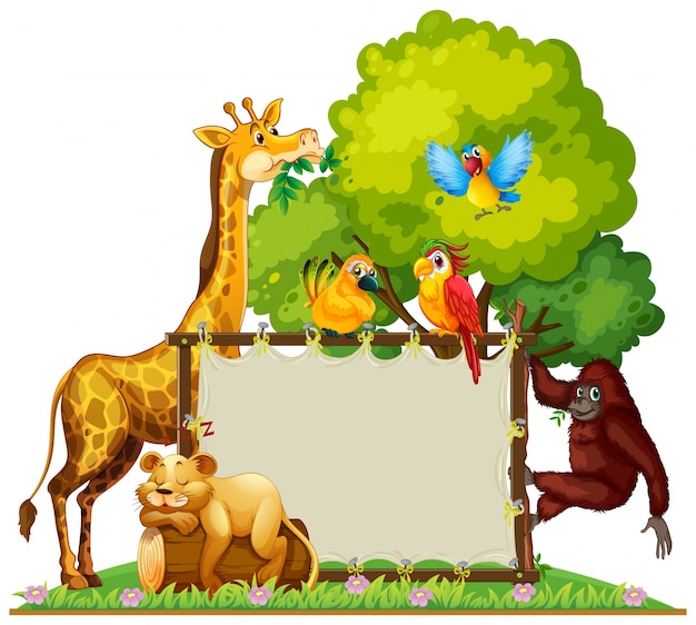 Vector wild animals around wooden frame