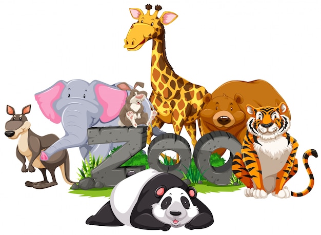 Vector wild animals around the zoo sign