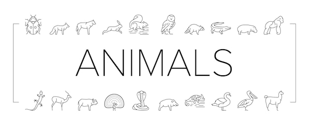 Wild animals bugs and birds icons set vector