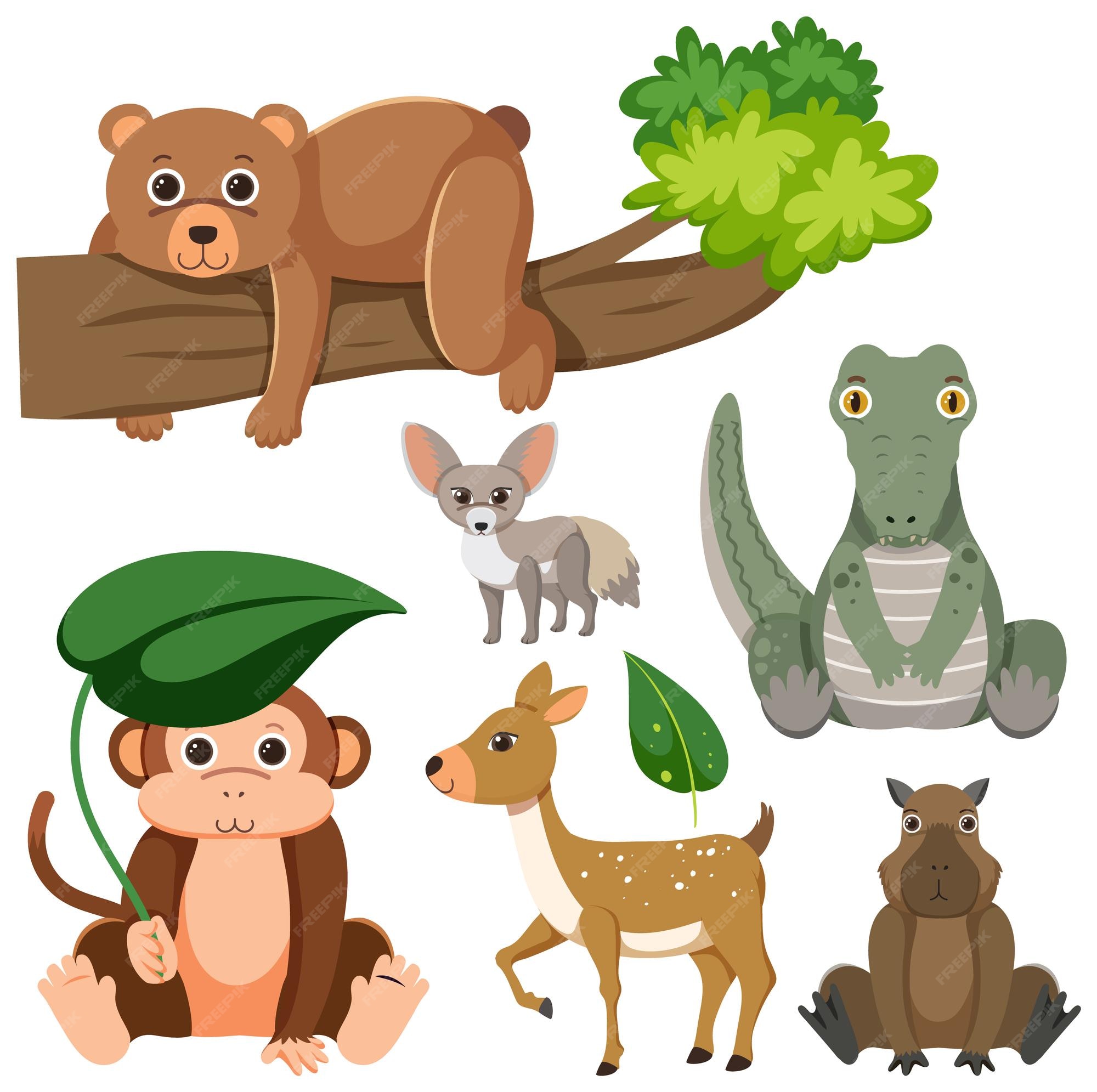 Premium Vector | Wild animals cartoon collection