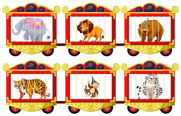 Wild animals in the circus cages