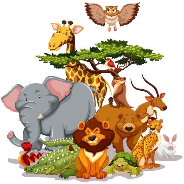 Vector wild animals collection