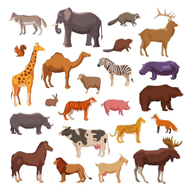 Vector wild animals collection