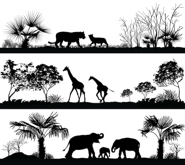 ensemble de silhouettes d'animaux de la savane sur fond blanc tigre lion  rhinocéros phacochère commun buffle africain tortue caméléon zèbre autruche  éléphant girafe crocodile cobra 2543606 Art vectoriel chez Vecteezy