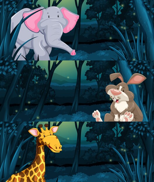 Wild animals in the jungle at night