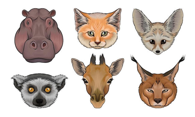 Vector wild animals muzzles vector set highly detailed neb collection