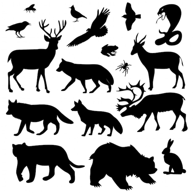 Vector wild animals pictures