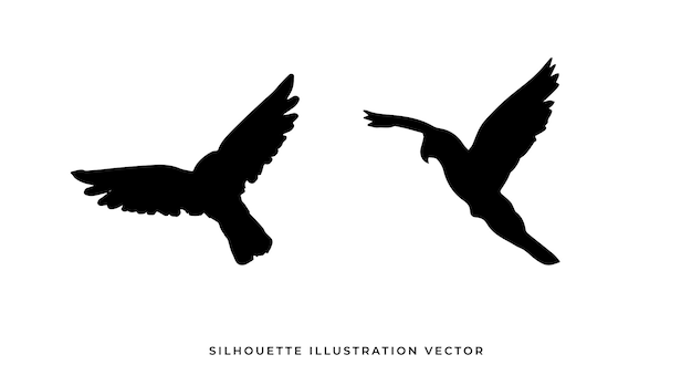 wild animals silhouettes vector illustration. Isolated animals