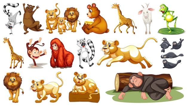wild animals on white background