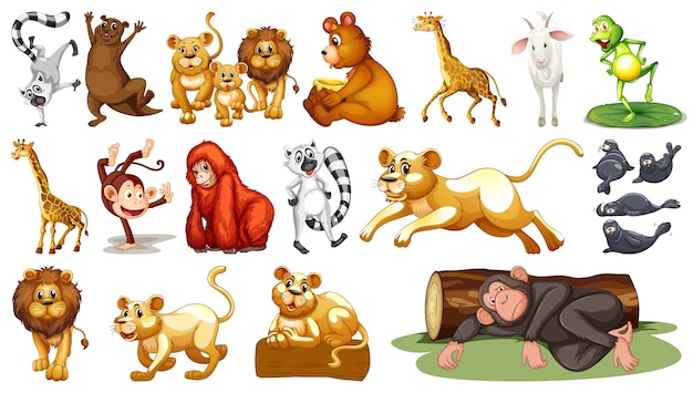 Wild animals on white background