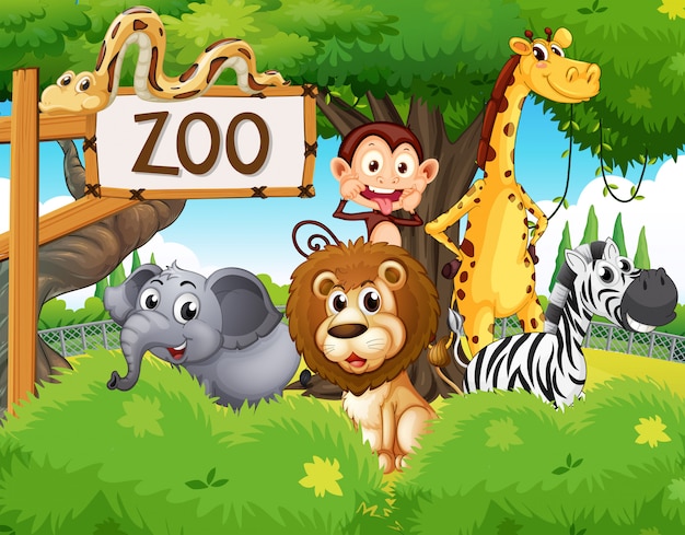 Animali selvaggi allo zoo