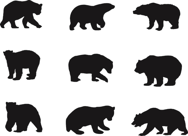 Wild bear animal silhouette collection