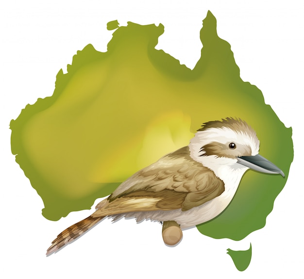 Vettore uccello selvatico in australia