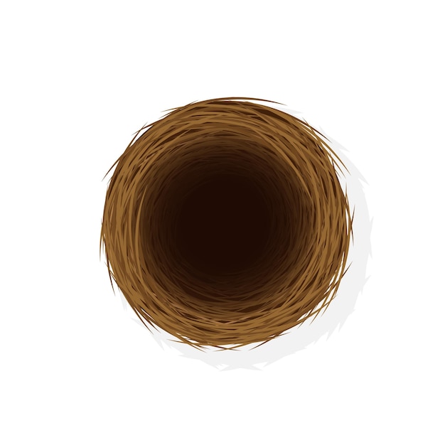 Vector wild bird nest from straw and twigs illustration of top view of nest