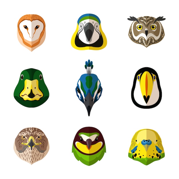 Vector wild bird set