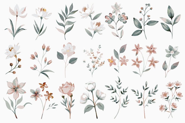 Wild bloemen waterverf element collectie