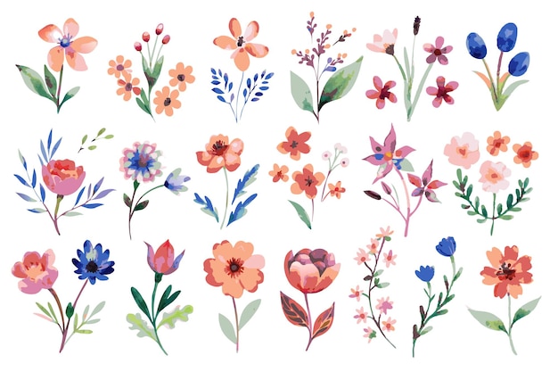 Wild bloemen waterverf element collectie