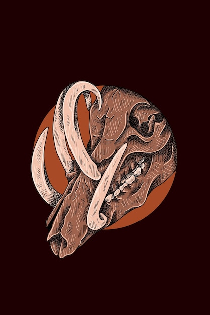 Wild boar skull vector illustration