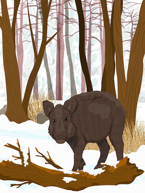 Wild boar in the winter forest Realistic vertical vector landscape