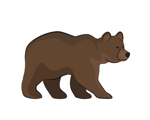 Vettore illustrazione piana di vettore dell'orso grizzly marrone selvaggio isolata su priorità bassa bianca