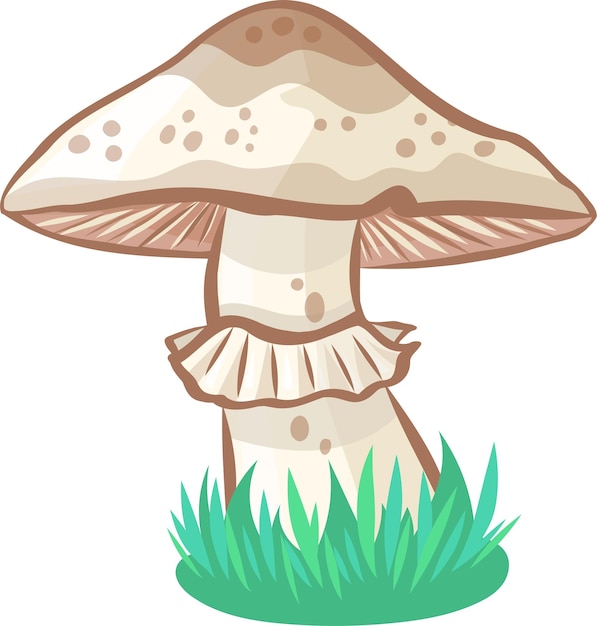 wild champignon mushroom vector image without background